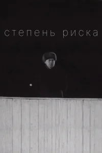 Степень риска 